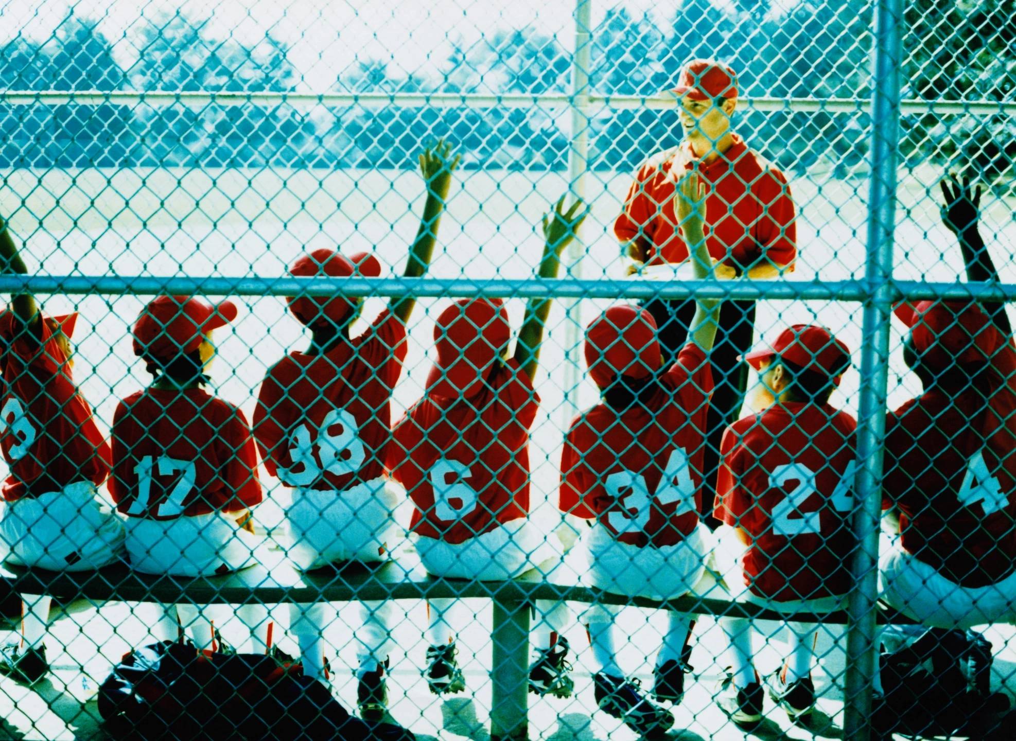 Image description